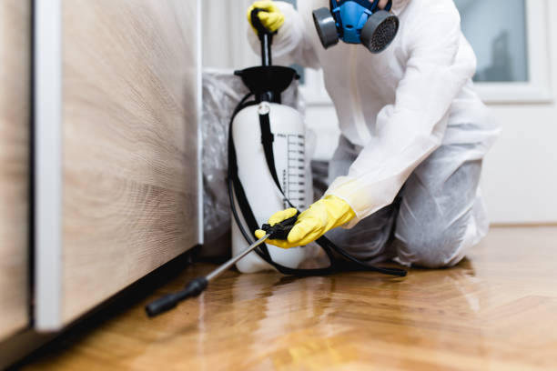 Best Termite Control Services  in Hamburg, AR