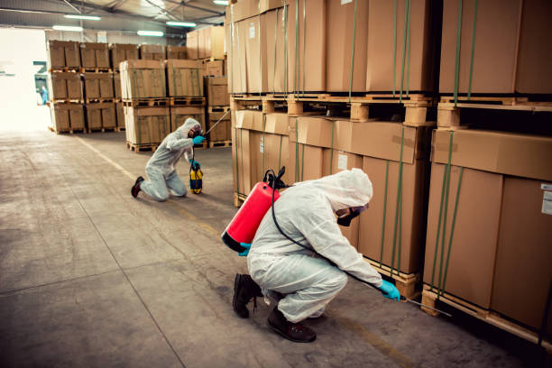 Best Ant Control Services  in Hamburg, AR
