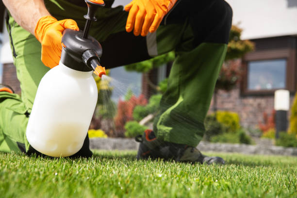 Best Termite Control Services  in Hamburg, AR
