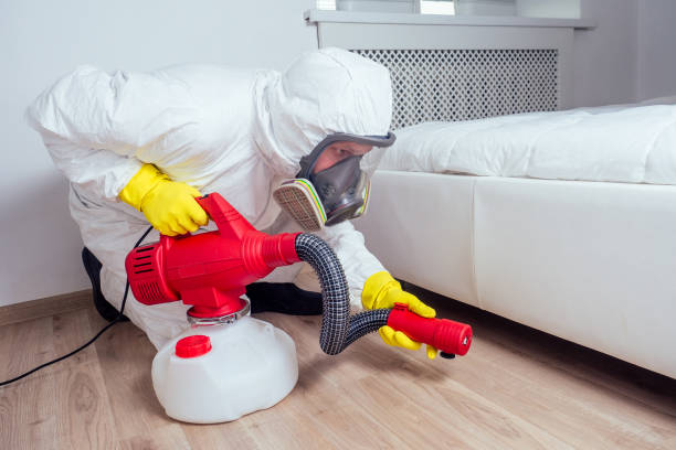 Best Ant Control Services  in Hamburg, AR