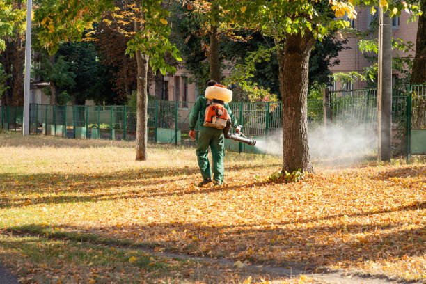Best Flea Control Services  in Hamburg, AR