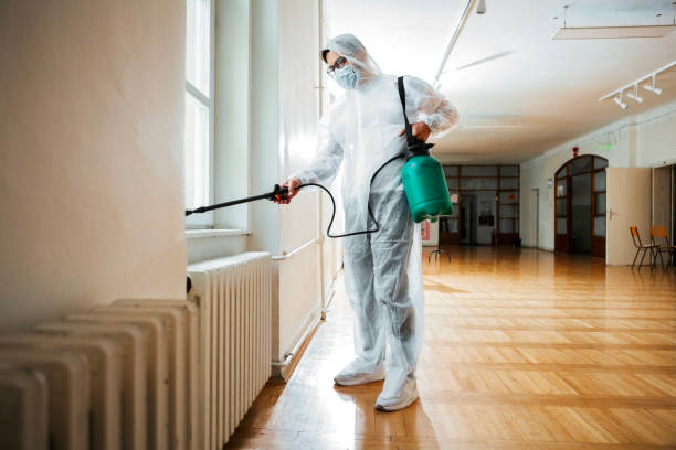 Best Flea Control Services  in Hamburg, AR
