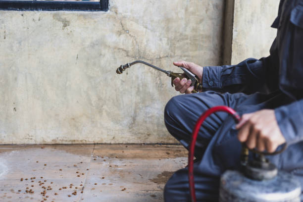 Best Wasp Removal Services  in Hamburg, AR