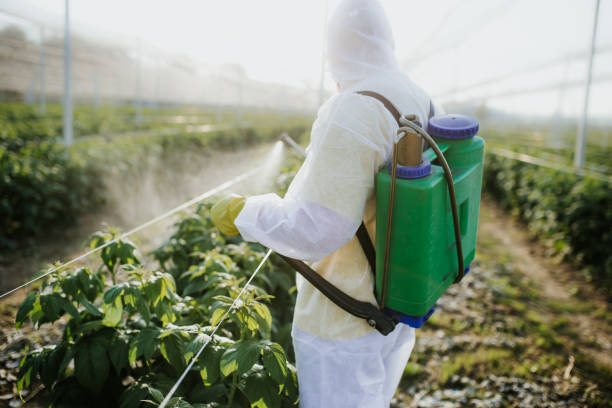 Best Pest Removal Services  in Hamburg, AR